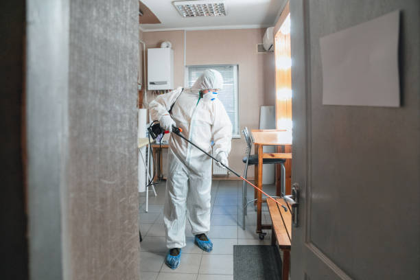  Zuni Pueblo, NM Mold Removal Pros
