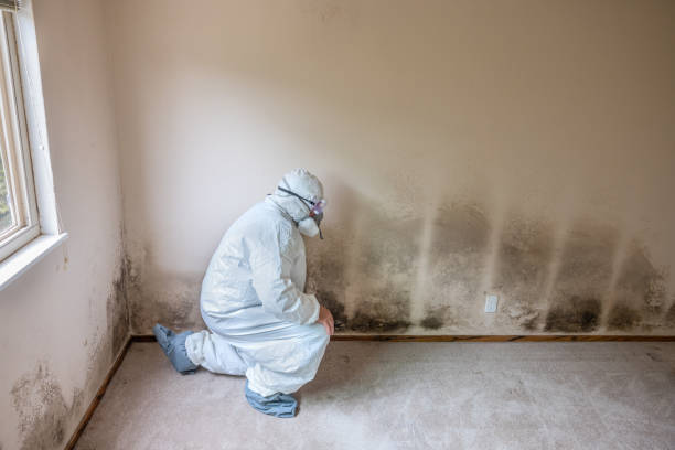 Best Biohazard Mold Removal  in Zuni Pueblo, NM