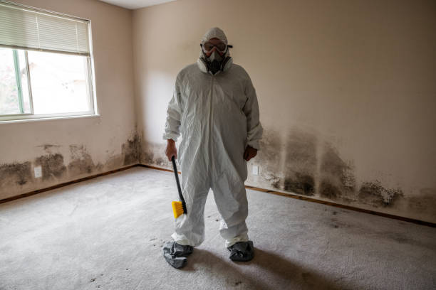 Best Post-Construction Mold Inspection  in Zuni Pueblo, NM