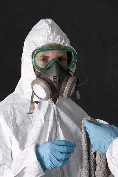 Best Mold Removal for HVAC Installations  in Zuni Pueblo, NM